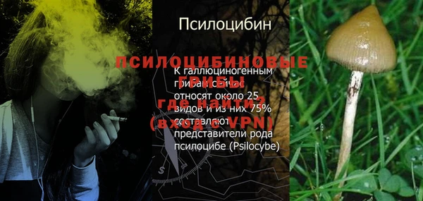 ECSTASY Абдулино