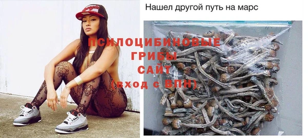 крисы Абинск