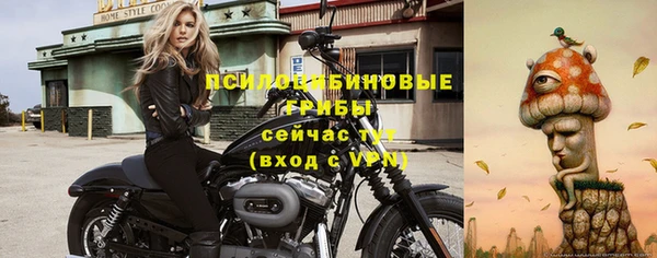 крисы Абинск