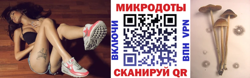 Галлюциногенные грибы ЛСД  Новотитаровская 