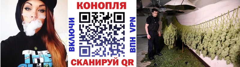 MEGA онион  Новотитаровская  Конопля план  магазин продажи наркотиков 